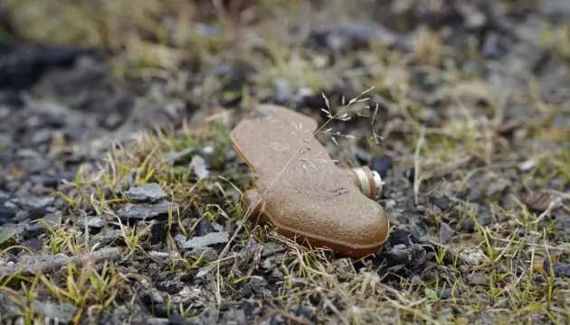 Жителів Чернігівщини попереджають про небезпеку дистанційного мінування